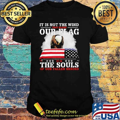 It is not the wind that blows our flag the souls or our fallen heroes eagles shirt