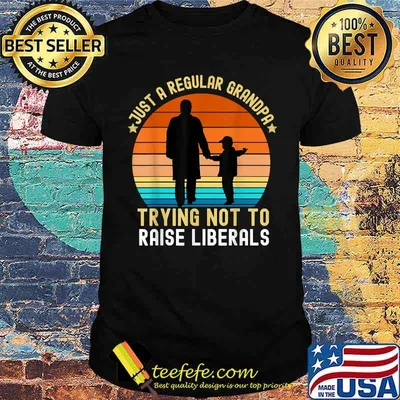 Just A Regular Grandpa Trying Not To Raise Liberals Pawpaw Vintage T-Shirt