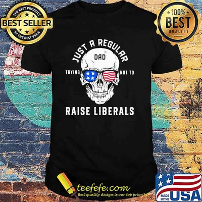 Just A Regular Trying Not To Raise Liberals Skull American Flag Shirt