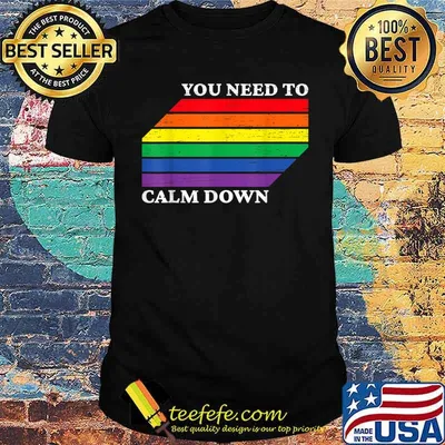 Lesbian Gay Bisexual LGBTQA You need to Calm Down Shirt