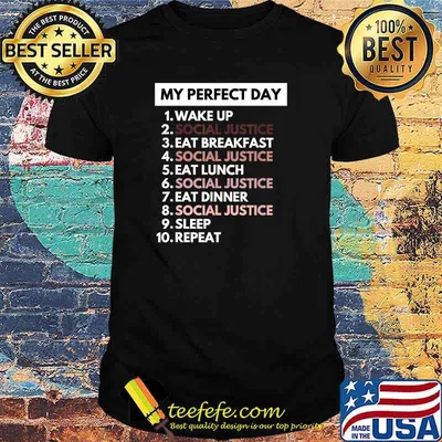 My Perfect Day Social Justice Political Protest Rally March T-Shirt