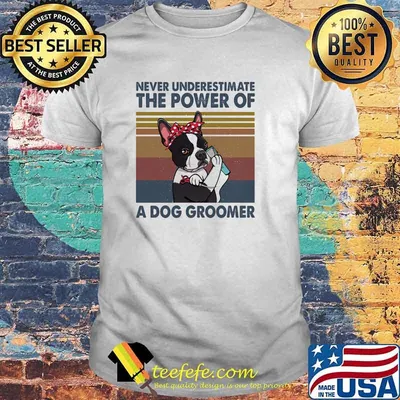 Never underestimate the power of a dog groomer vintage shirt