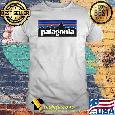 Patagonia Flag Mountain T-Shirt
