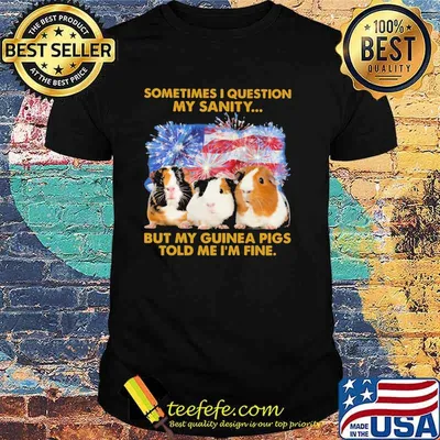 Sometimes I Question My Sanity But My Guinea Pigs Told Me I'm Fine American Flag Firework Shirt