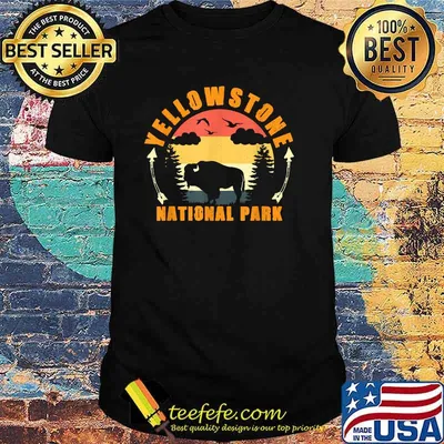 Yellowstone National Park US Bison Buffalo Vintage T-Shirt