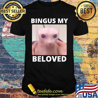 Bald Bingus My Beloved Hairless Sphinx Cat T-Shirt
