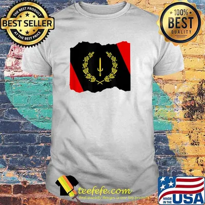 Black American Heritage Flag 1967 T-Shirt