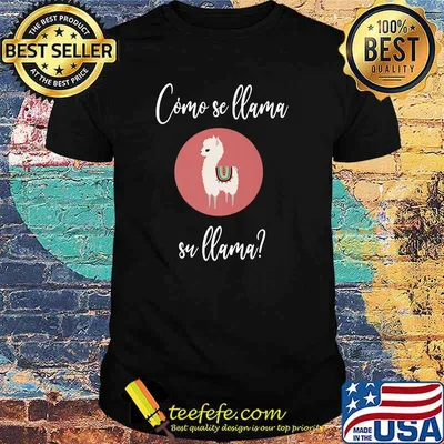 Cómo se llama Premium T-Shirt