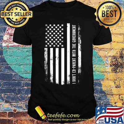 I Don’t Coparent With The Government American Flag T-Shirt
