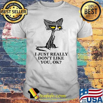 I Just Really Don't Like You Annoying Gray Cat T-Shirt