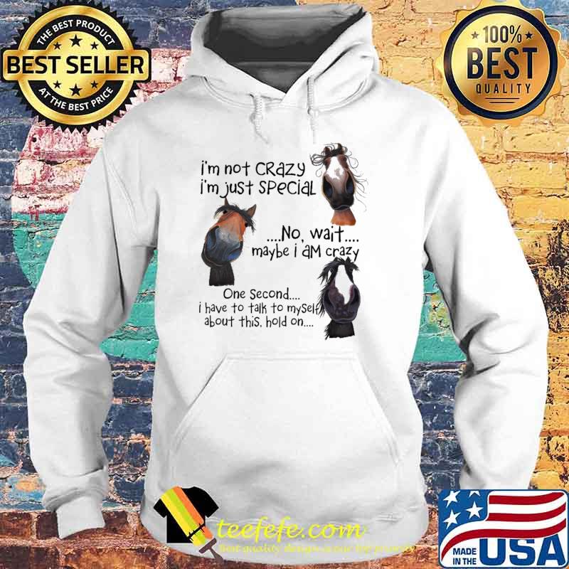I'm not Crazy I'm Just Special No Wait Maybe I Am Crazy One Second I Have To Talk To Myself About This Hold On Shirt Hoodie I'm not Crazy I'm Just Special No Wait Maybe I Am Crazy One Second I Have To Talk To Myself About This Hold On Shirt Hoodie