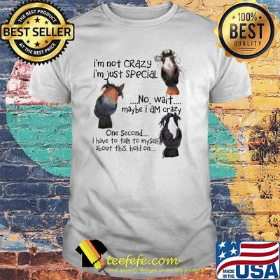 I'm not Crazy I'm Just Special No Wait Maybe I Am Crazy One Second I Have To Talk To Myself About This Hold On Shirt
