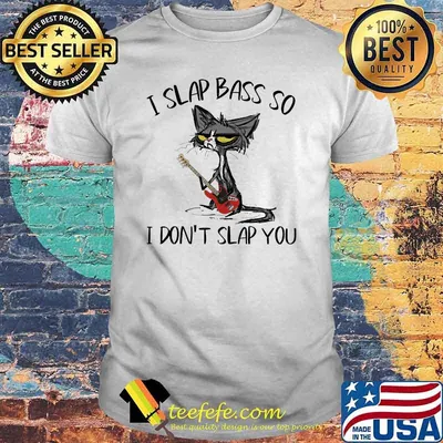 I slap bass so i dont slap you cat shirt