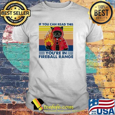 If You Can Read This You're In Fireball Range Cat Vintage Shirt