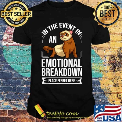 In the event in an emotional breakdown place Ferret here T-Shirt