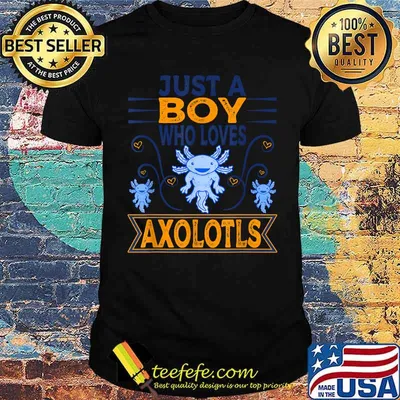 Just a Boy Who Loves Axolotls Boy Axolotl T-Shirt
