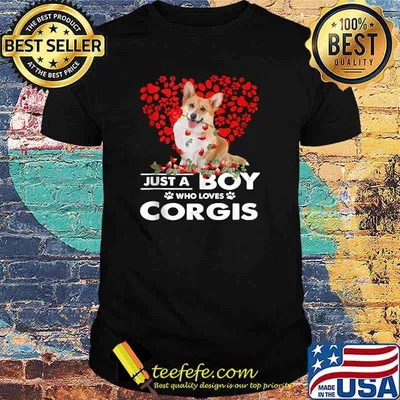 Just A Boy Who Loves Corgis Dog T-Shirt