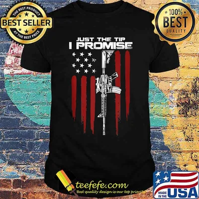 Just The Tip I Promise Gun Rights AR-15 Owner Gun American Flag T-Shirt