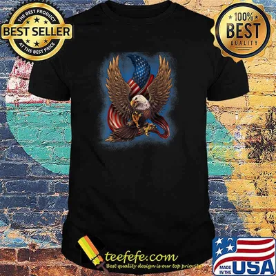 Patriotic American Design With Eagle And Flag Black or Blue T-Shirt
