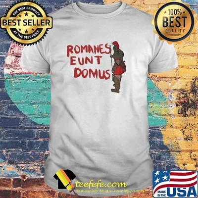 Romanes Eunt Domus Native Shirt
