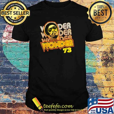 Vintage Stevies Design Arts Wonders Music American Singers T-Shirt