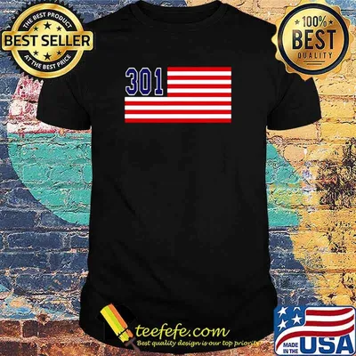 301 Area Code Maryland Hometown American Flag shirt