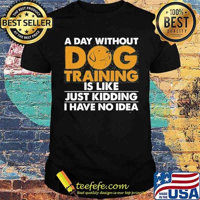 A day without dog training is like just kidding i have no idea shirt