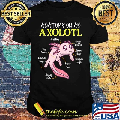 Anatomy of an axolotl aquarium reptile Aquaristics Axolotl T-Shirt