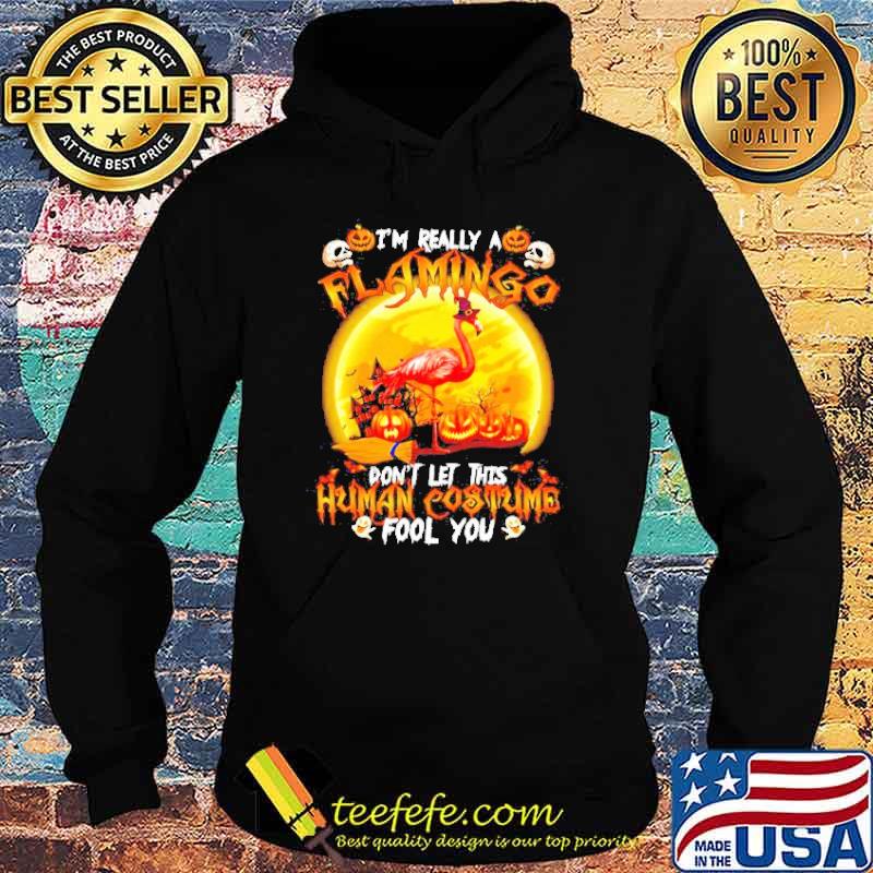 Best i’m really a flamingo don’t let this human costume fool you s Hoodie Best i’m really a flamingo don’t let this human costume fool you s Hoodie
