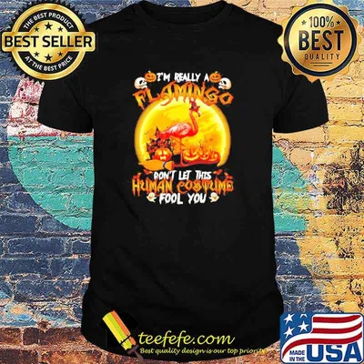 Best i’m really a flamingo don’t let this human costume fool you shirt