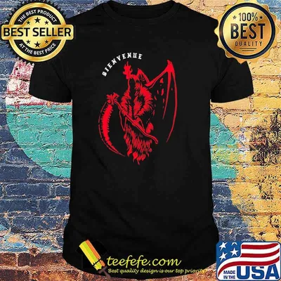 BIENVENUE shirt