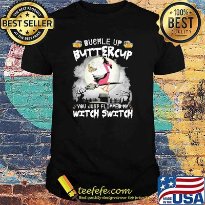 Buckle up buttercup you just flipped my witch switch flamingo moon shirt