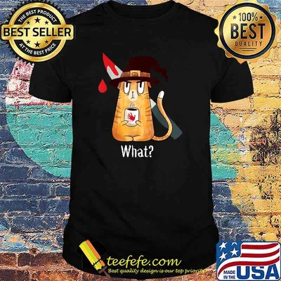 Cat What Murderous Witch Cat With Knife Halloween Costume T-Shirt