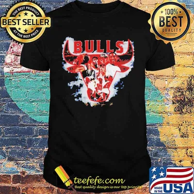 Chicago Bulls Big Three shirt