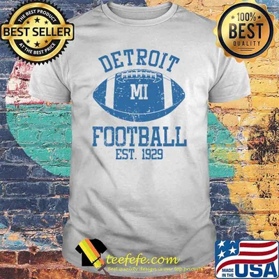 Detroit Lions Baseball Est 1929 shirt