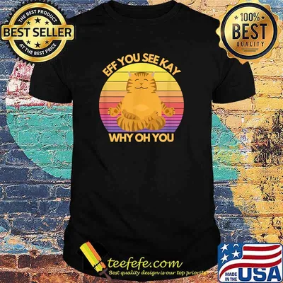 Eff You See Kay Why Oh You Cat Yoga Vintage Sunset T-Shirt