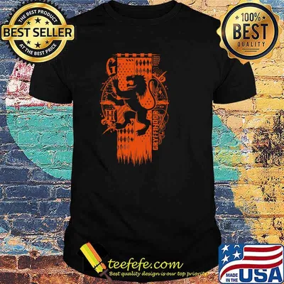 Gryffindor Magic g house shirt