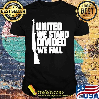 Gun United we stand divided we fall shirt