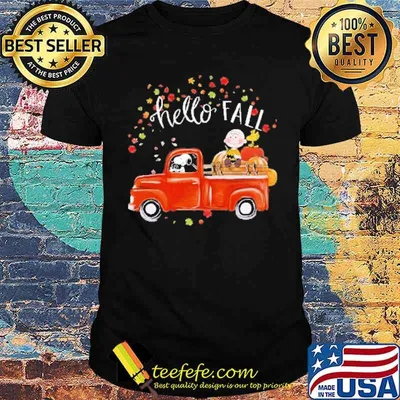 Hello fall snoopy charlie truck pumpkin shirt