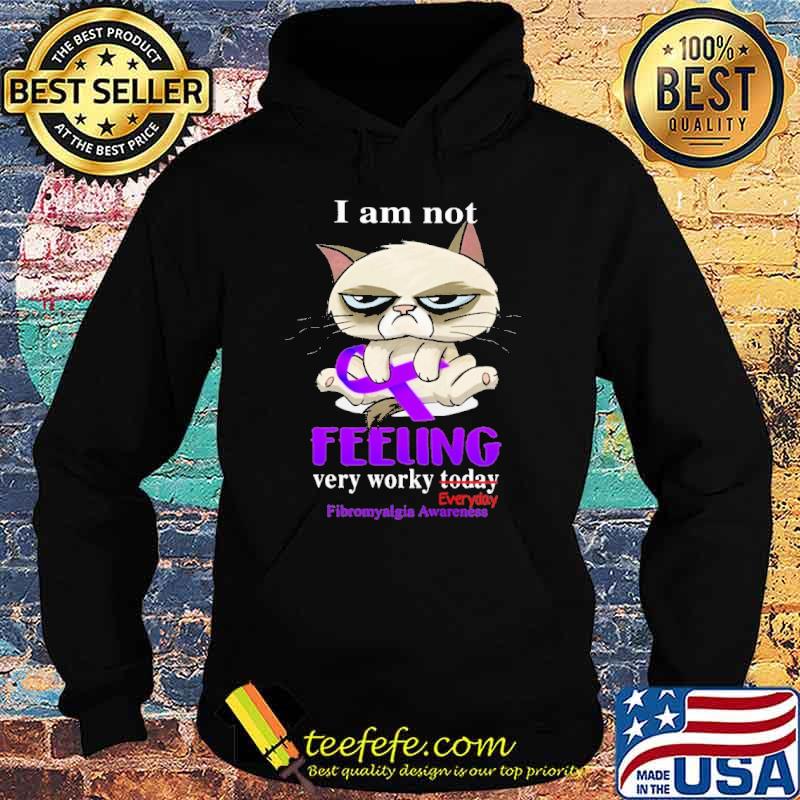 I Am Not Feeling Very Worky Everyday Fibromyalgia Awareness Cat Shirt Hoodie I Am Not Feeling Very Worky Everyday Fibromyalgia Awareness Cat Shirt Hoodie