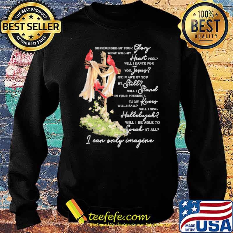 I Can Only Imagine Shirt Sweater I Can Only Imagine Shirt Sweater