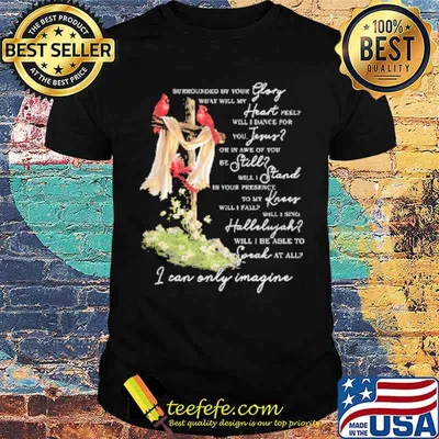 I Can Only Imagine Shirt