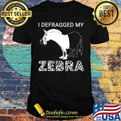 I DEFRAGGED MY ZEBRA SHIRT