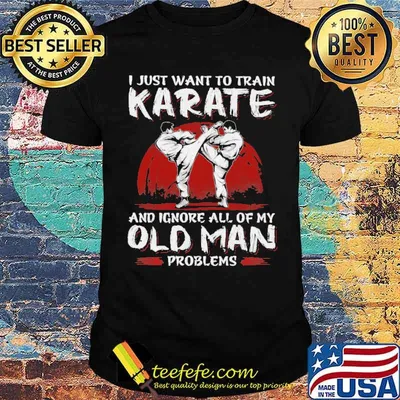 I Just Want To Train Karate And Ignore All Of My Old Man Problems Shirt