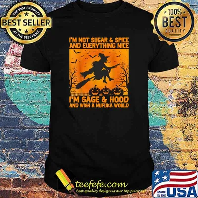 I'm Not Sugar And Spice And Everything Nice Halloween Witch T-Shirt