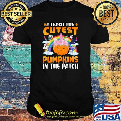 I Teach The Cutest Pumpkins In The Patch Fall Saison Teacher T-Shirt