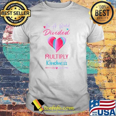 In A World Divided Multiply Kindness Math Teacher T-Shirt