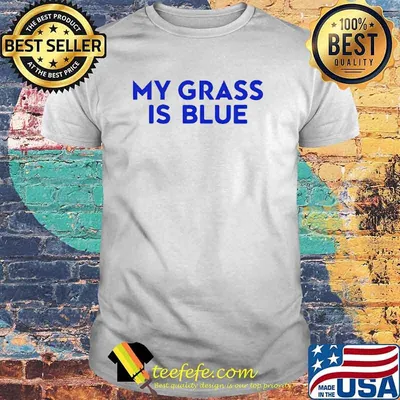 Lynyrd Skynyrd my grass in blue shirt
