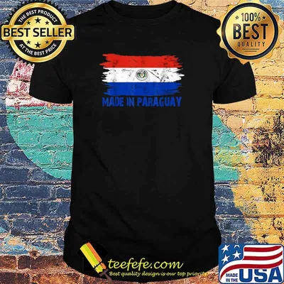 Made Paraguay Flag Paraguayan Proud in Paraguayo T-Shirt