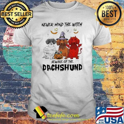 Never mind the Witch Beware of the Dachshund Halloween Shirt
